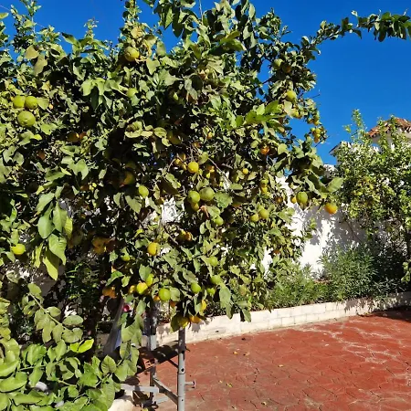 Lejlighedshotel Costa Marbella
