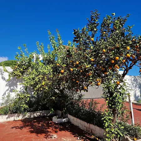 Costa 아파트호텔