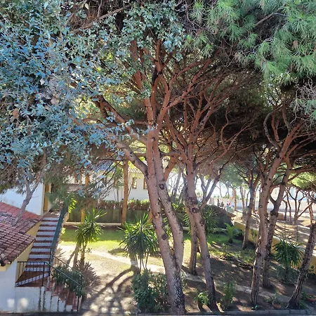 아파트호텔 Costa 마르베야