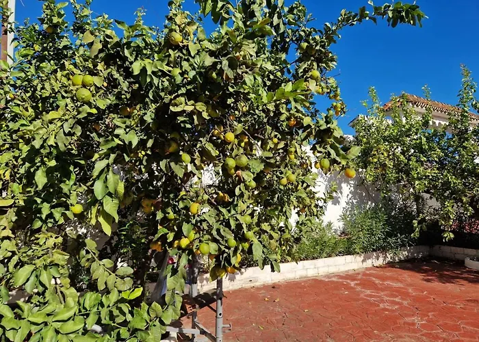 Aparthotel Costa Marbella