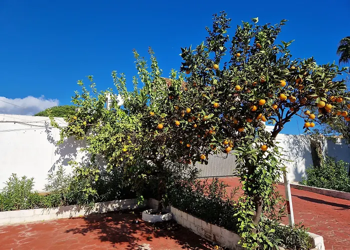 Costa Aparthotel